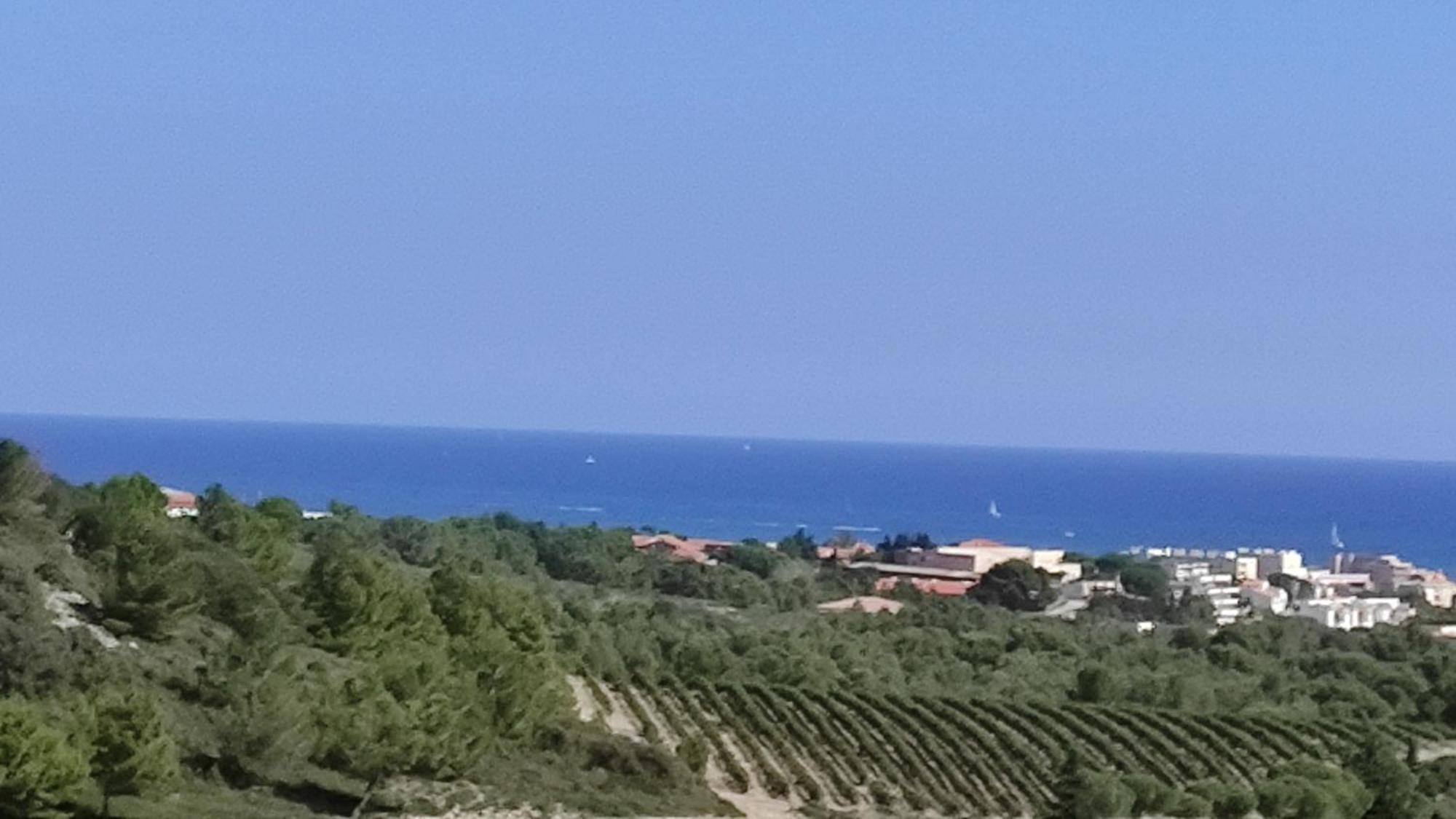 36 2 L'air Marin Maison Duplex Grande Terrasse Holiday home *